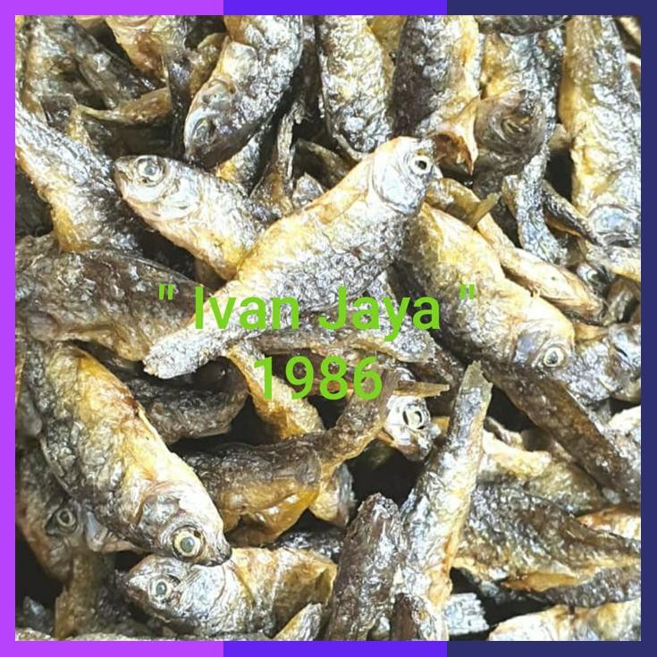

Ikan Danau Singkarak/Bilih Kecil/Bilis/Tawar Padang 1Kg/1000 Gram