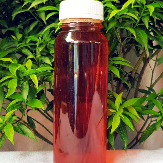 

MADU MURNI | Madu Randu 250ml
