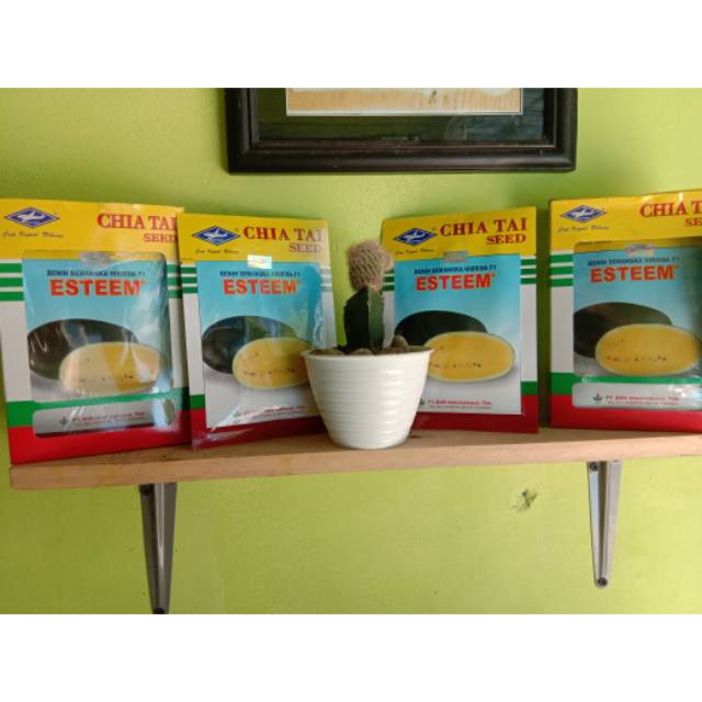 Benih semangka esteem 20 gr(bibit semangka inul,bibit semangka kapal terbang, benih semangka kuning)