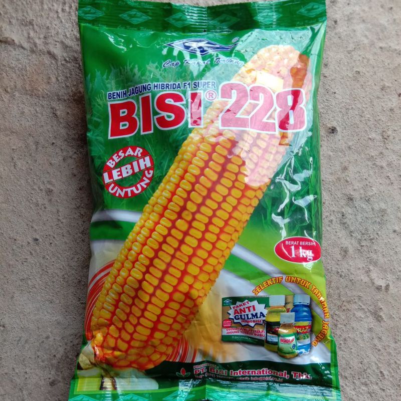 Benih Jagung Hibrida F1 Super BISI 228