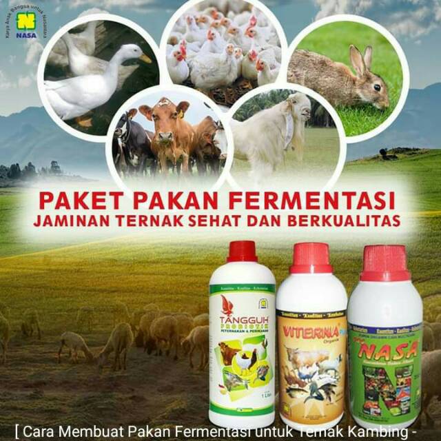 Paket Pakan Fermentasi Ternak Vitamin Peternakan Sapi Kambing