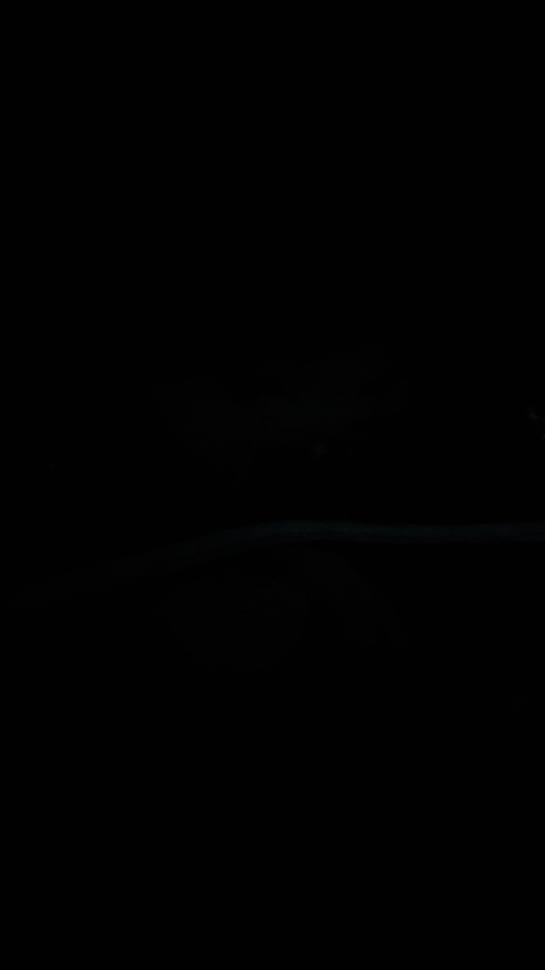 ❤termurah❤ Kantong Kresek Plong Motif 25x35. Kresek Olshop Motif .kantong Pond Olshop Online Shop