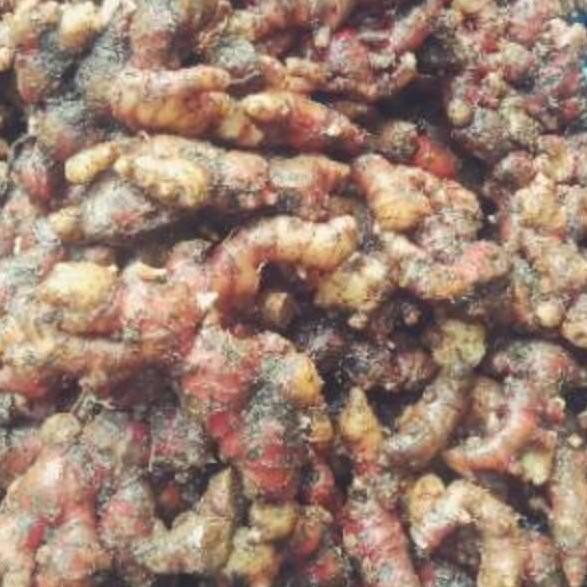 

bigseller!! ☩ Jahe merah segar 1 kg Stok|banyak