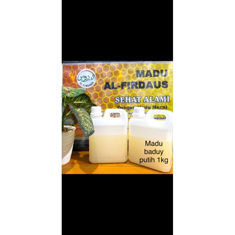 

madu baduy putih asli hutan