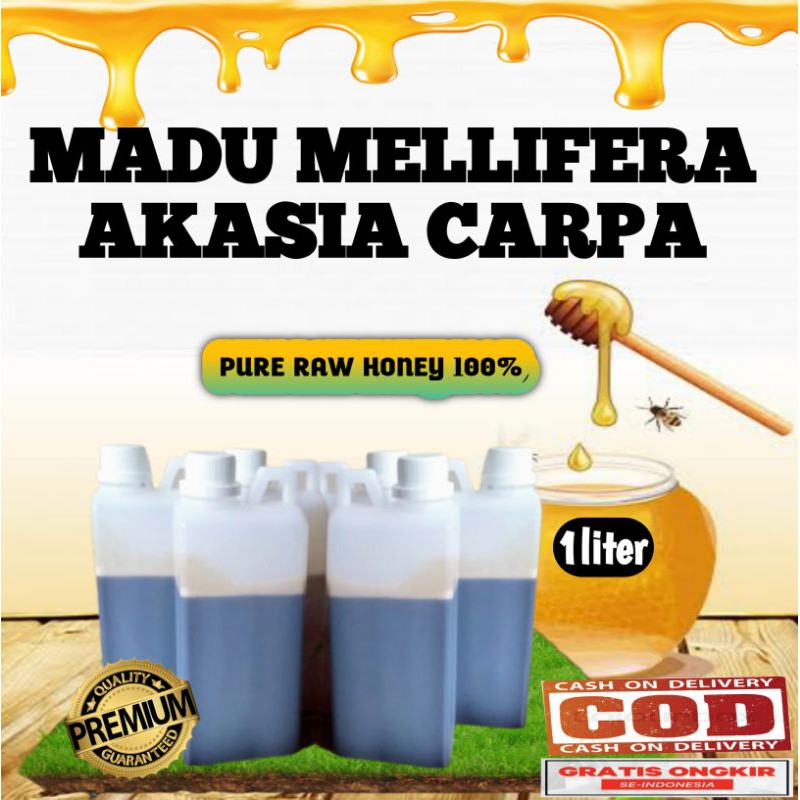 

Madu asli madu murni madu hutan apis mellifera akasia carpa 1liter