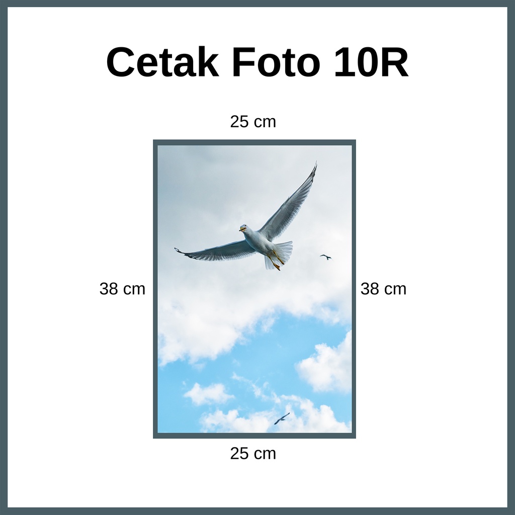(10R) Cetak Pas Foto Murah Custom