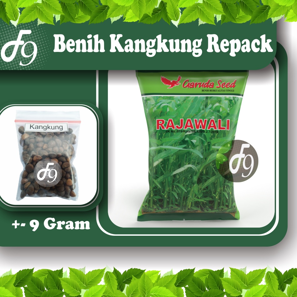 Benih Kangkung Bibit Kangkung Murah Repack Seribuan