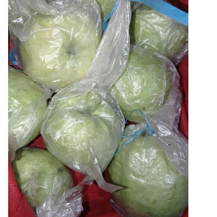 

✔️Paylater jambu kristal 1kg ukuran sedang #Terbagus