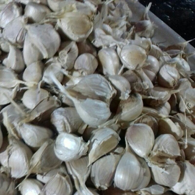 

Bawang Putih Kating 1 kg