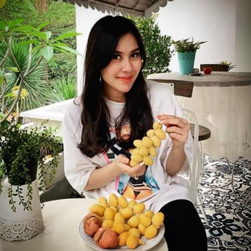 

Kurma Muda Promil Segar 500 Gram | Untuk Progam Hamil | Warna Merah, Kuning, Hijau