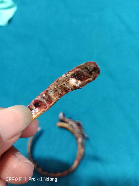 Akar Bahar Merah Cristal Asli Tembus Cahaya Ukir Naga Berkualitas.