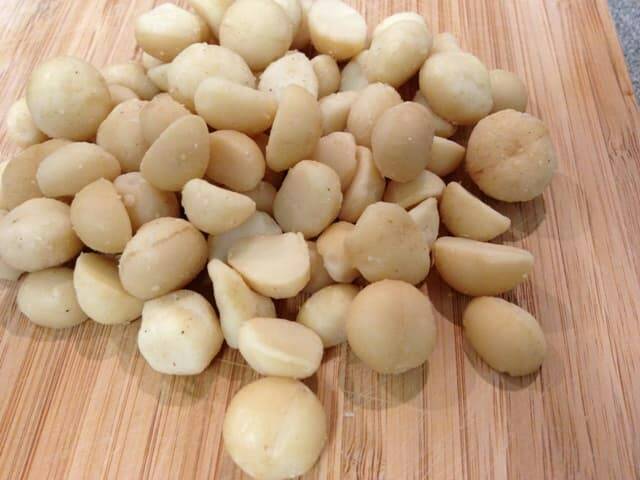 Bibit Tanaman Kacang Macadamia