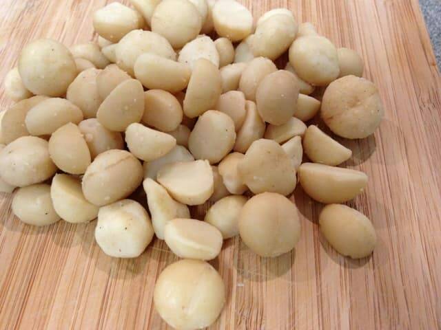 Bibit Tanaman Kacang Macadamia