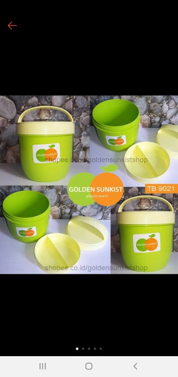 Tempat Telur Isi 6 Golden Sunkist