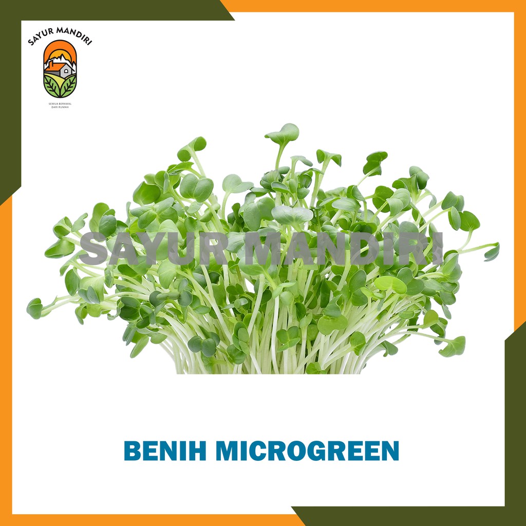 Benih Bibit Microgreen Ekonomis (Kemasan Baru)