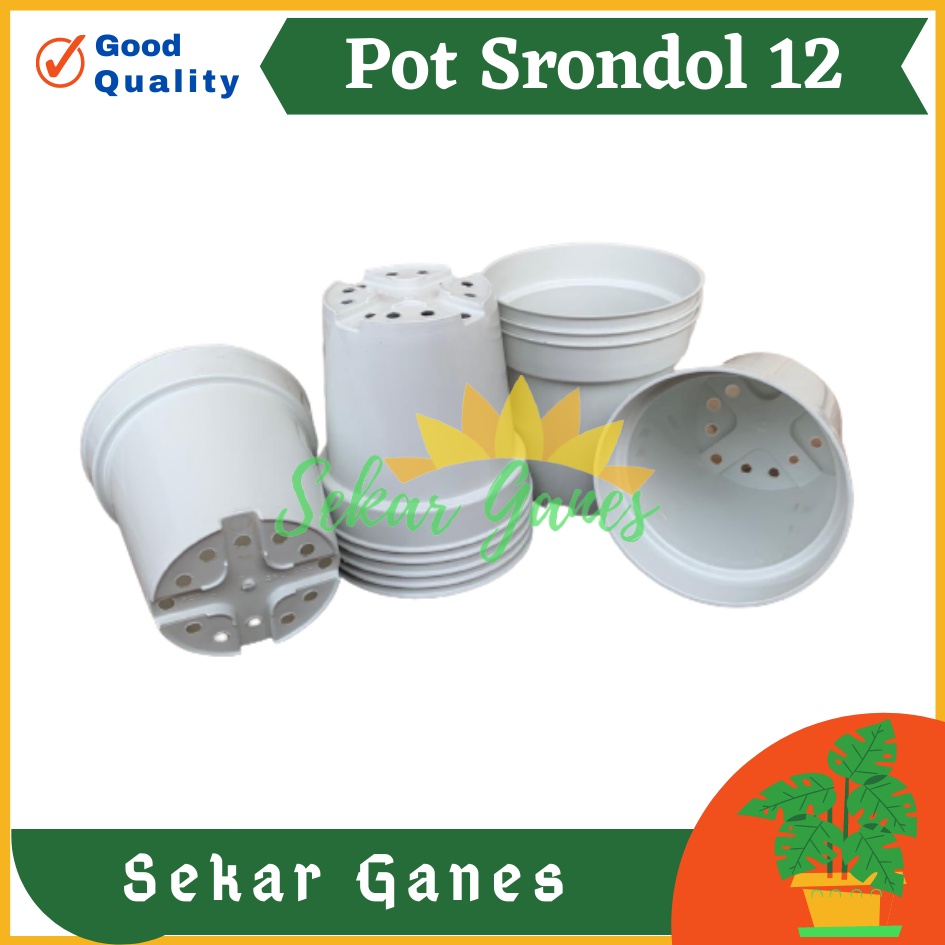 Pot Tinggi Srondol 12 PUTIH - Pot Tinggi Usa Effiel 18 20 25 Lusinan Pot Tinggi Tirus 15 18 20 30 35 40 50 Cm Paket murah isi 1 lusin pot bunga plastik pot tanaman Pot Bibit Besar Mini Kecil Pot Srondol Pot Bunga Termurah Bahan Bagus