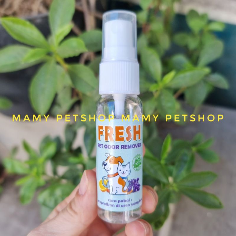 FRESH PARFUM PASIR PENGHILANG BAU PIPIS DAN KOTORAN