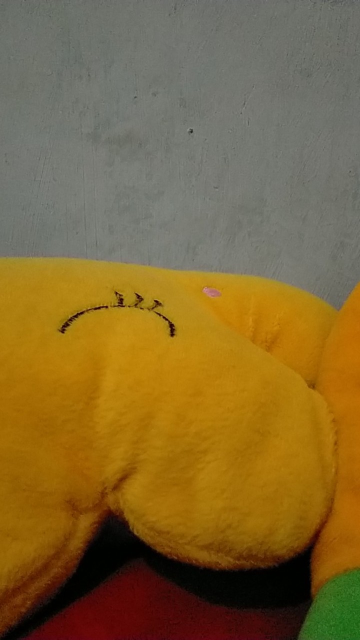 Zernii Water Filter Sringan Air/penyaring Air Jadi Jernih