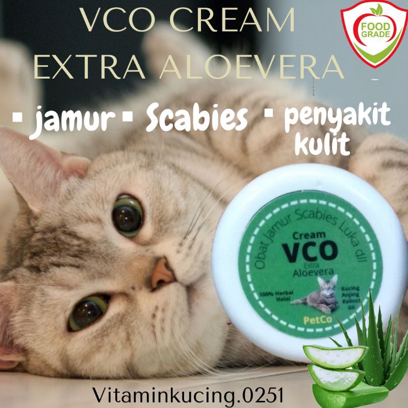 Cream VCO Salep Virgin Coconut Oil extra Aloevera