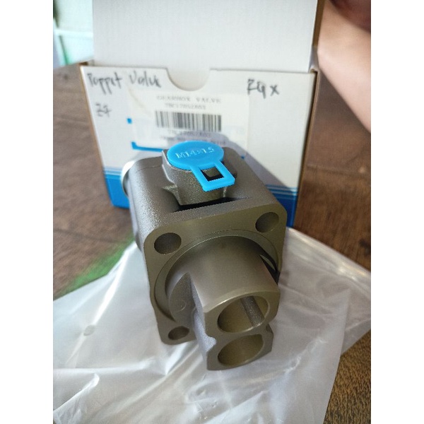 poppet Valve ZF