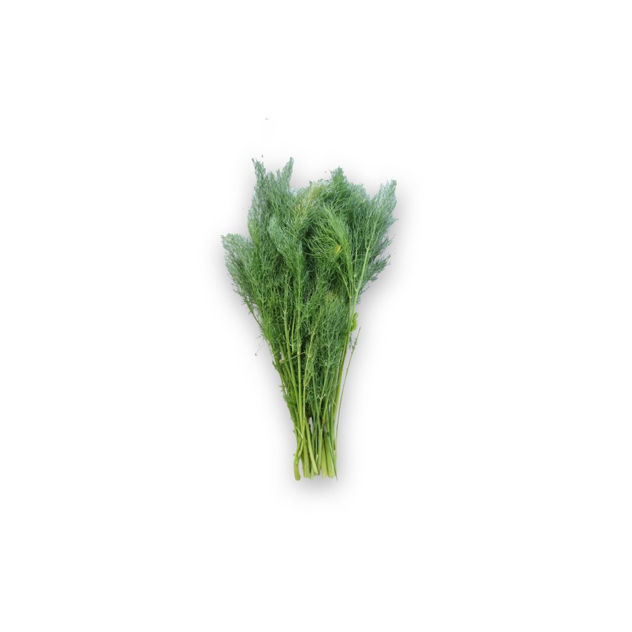 

Daun Dill Organik 100gram