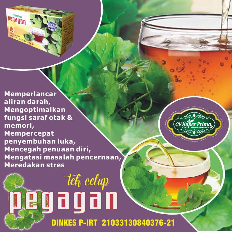 

[ORI] Teh Celup Pegagan Super Prima | Jamin Original