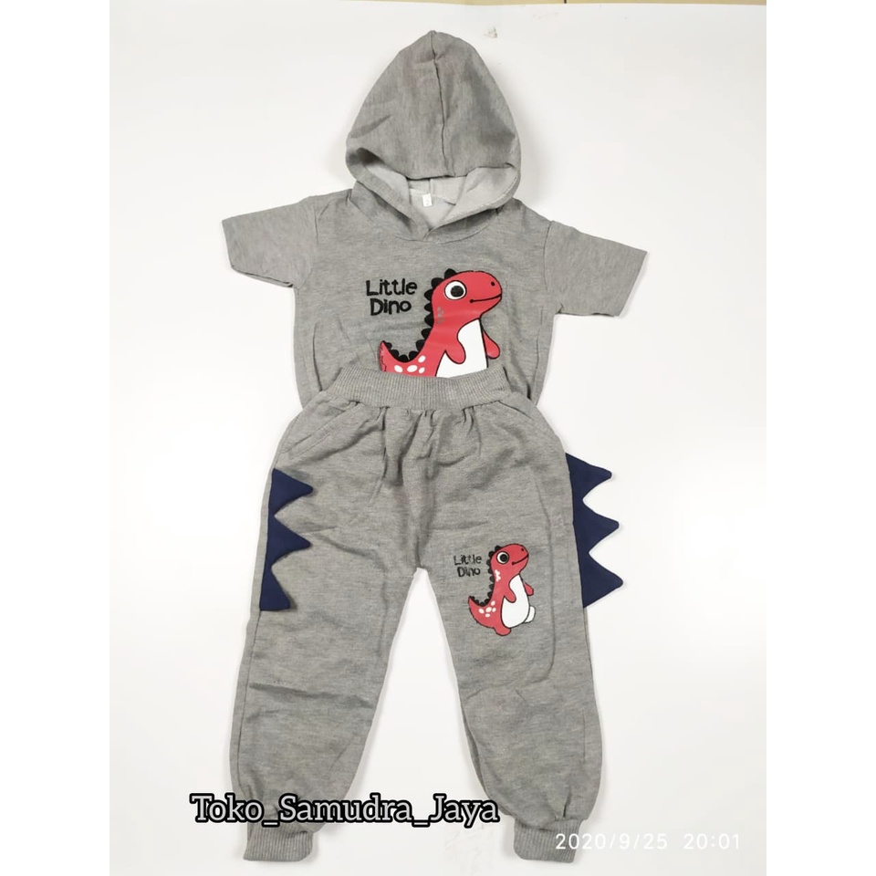 Setelan anak laki laki Baju Dinosaurus anak hoodie anak laki laki Baju anak 1-6 Tahun