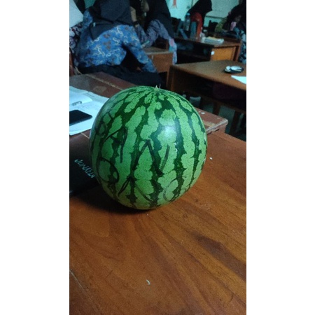 

Buah semangka 10 kg
