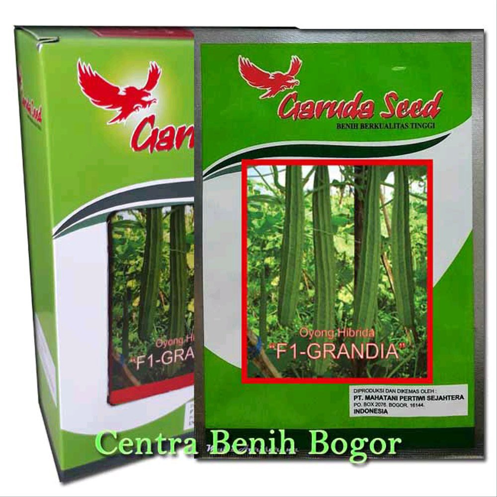 Benih oyong gambas GRANDIA f1-bibit Oyong Berkualitas