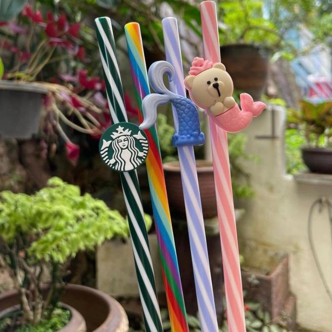 Starbucks Reusable Straw ( sedotan )