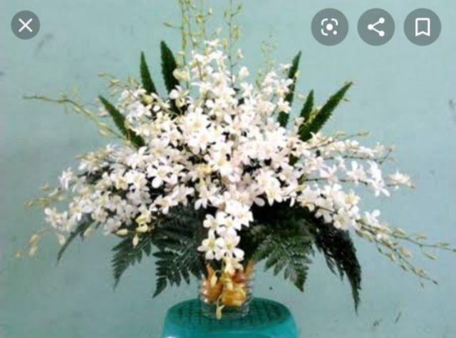 Sprei Batik Pekalongan Fn141