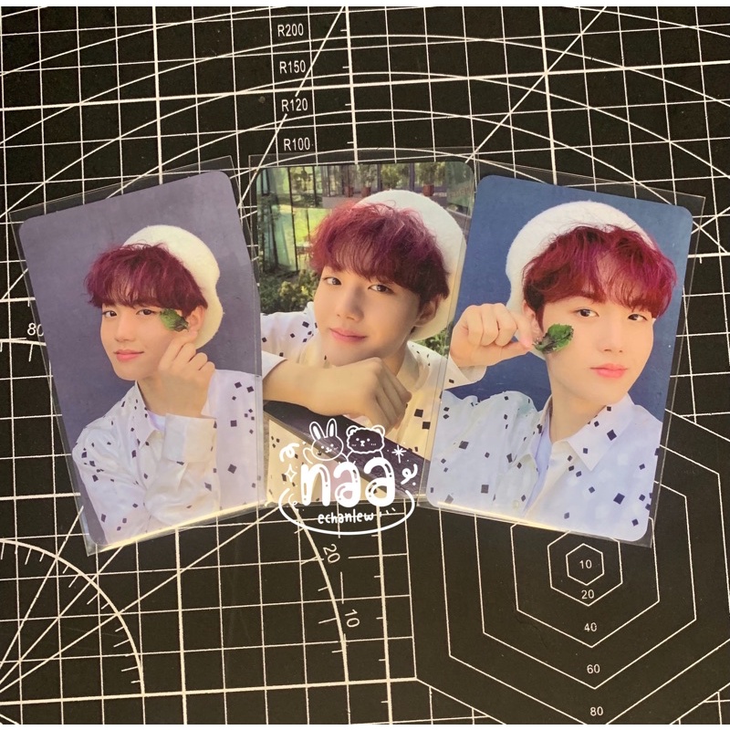 Photocard Doyoung Dobby treasure ch 3 take all