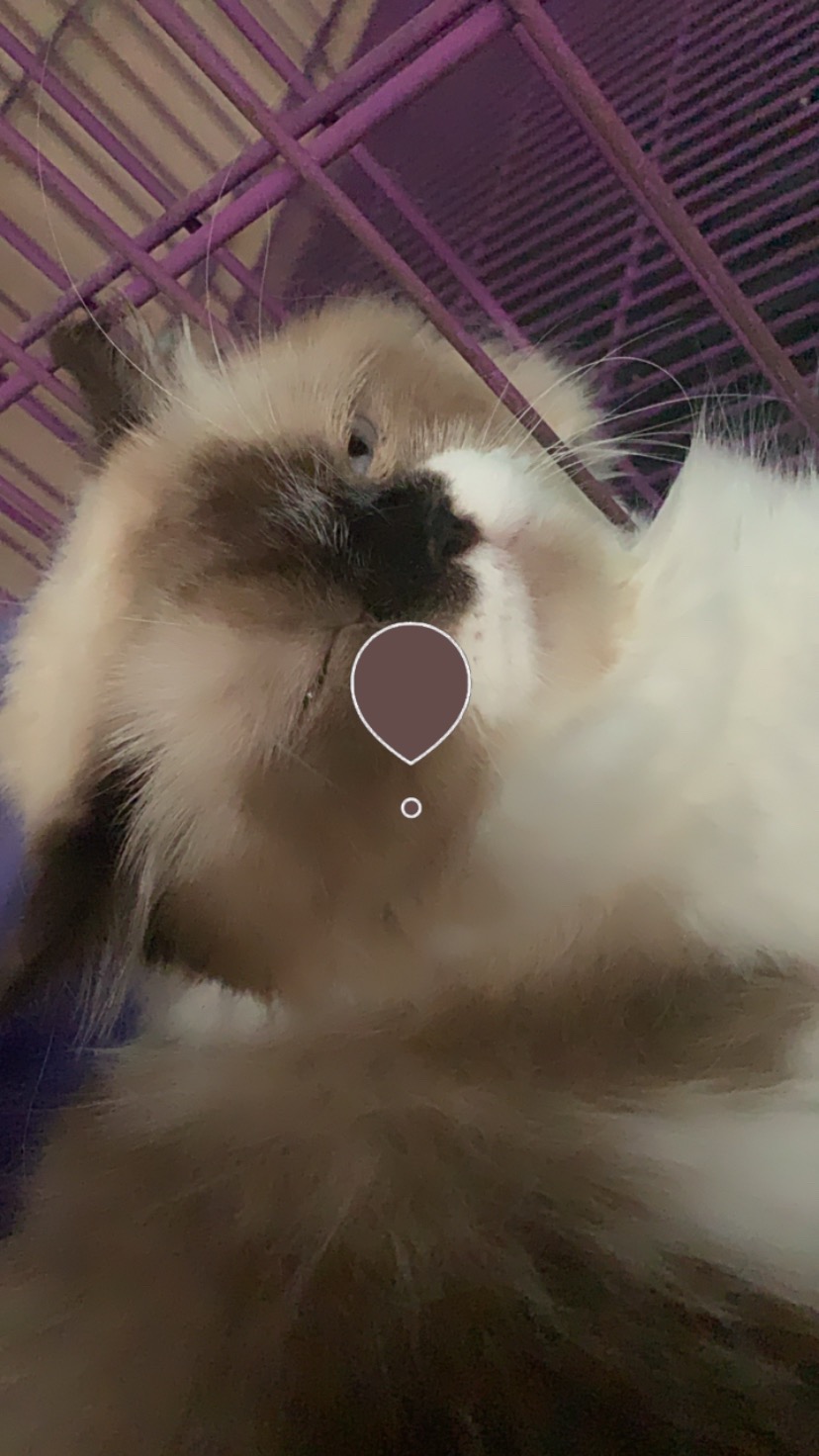 1pc Kotak Sterilisasi 72 Lubang Bahan Aluminium