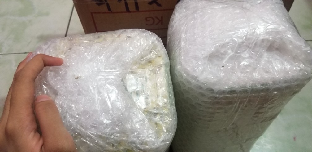 Hio (dupa) Lingkar India Jasmine (melati)