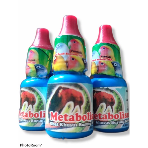 METABOLIS Burung
