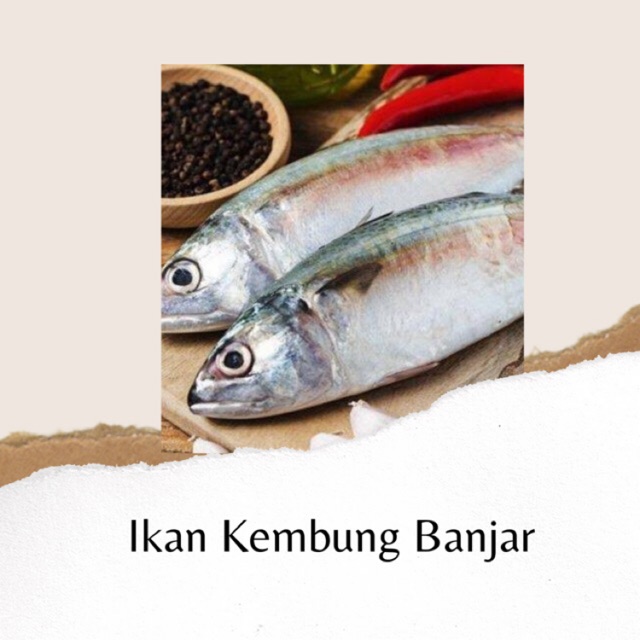 

IKAN KEMBUNG BANJAR FRESH BANDUNG - 1KG