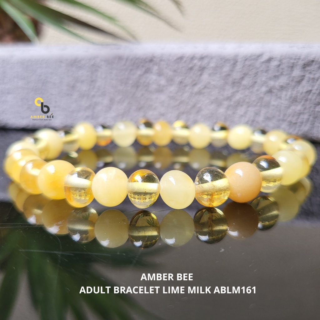 Gelang Amber Baltic Dewasa Premium Mix Two Colors ABLM161 By Amber Bee