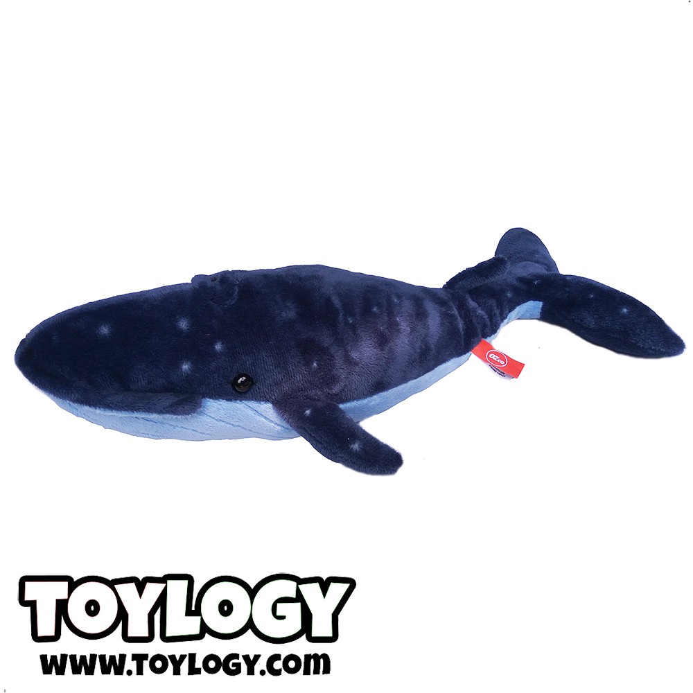  Gambar  Ikan Paus Biru Kartun