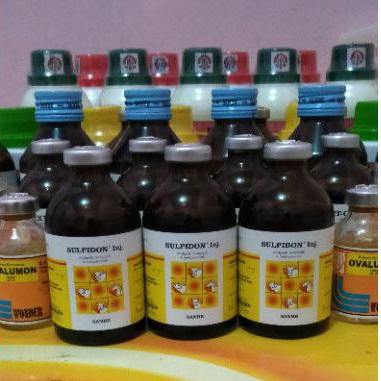 Sulpidon 50 ml (obat injeksi demam, meriang, penurun panas hewan mamalia berbulu sapi kambing dll).