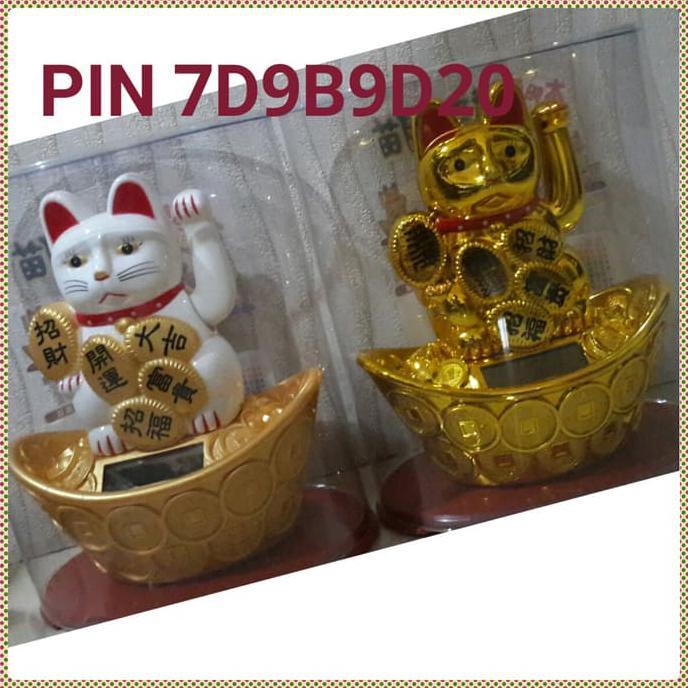 

14.84Ftgrdujh- Kucing Hoki Murah Grosir -Toko-Boneka.