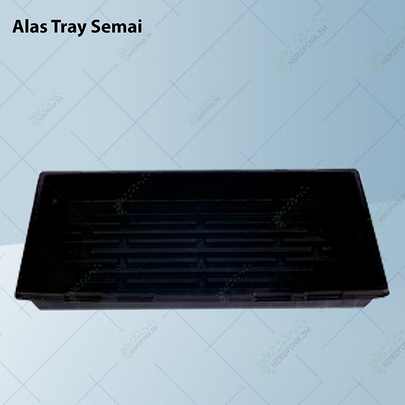 Alas Tray Semai