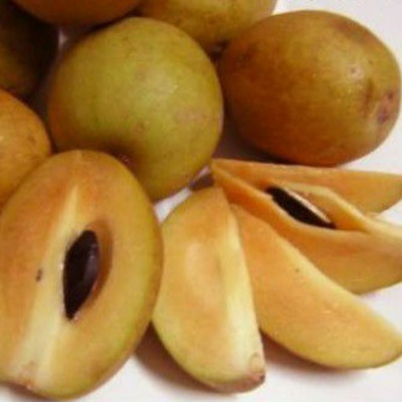 

buah sawo manila tua siap matang fress petik harga /1 kg.