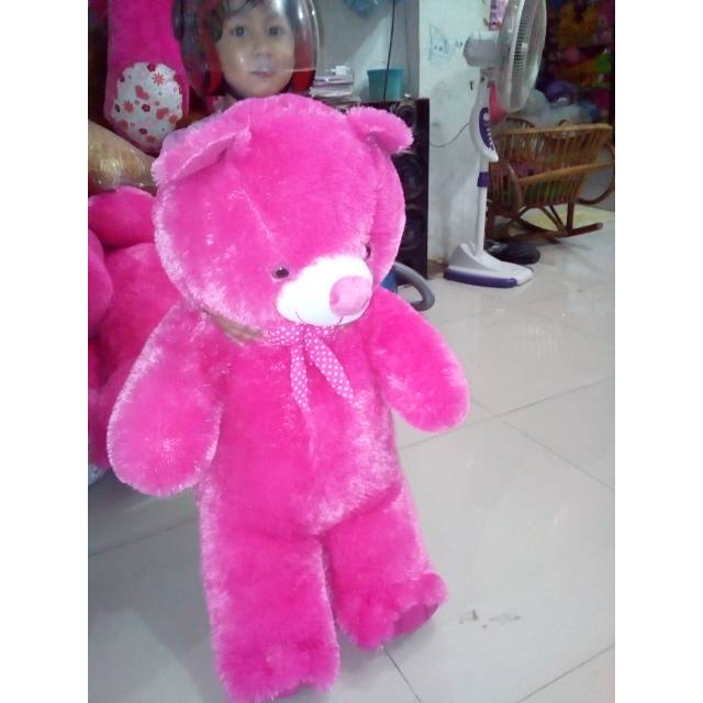 

Promo teddy bear pita terbaru