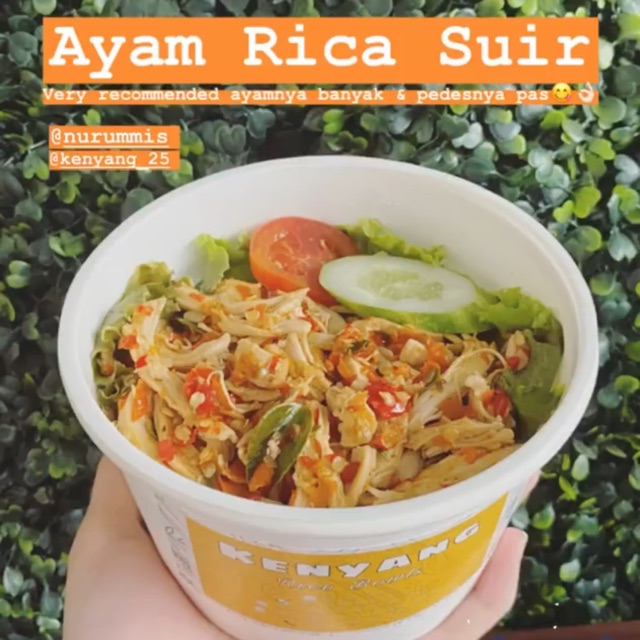 Rice Bowl Ayam Rica Suwir Shopee Indonesia