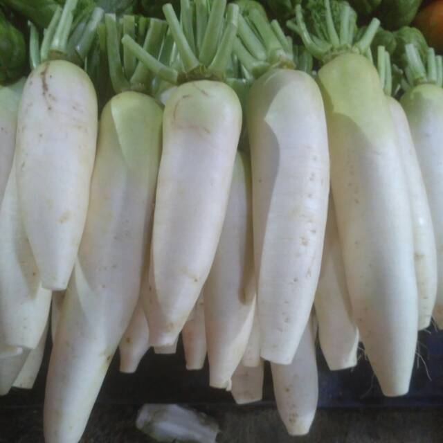 

Lobak putih 500 gram