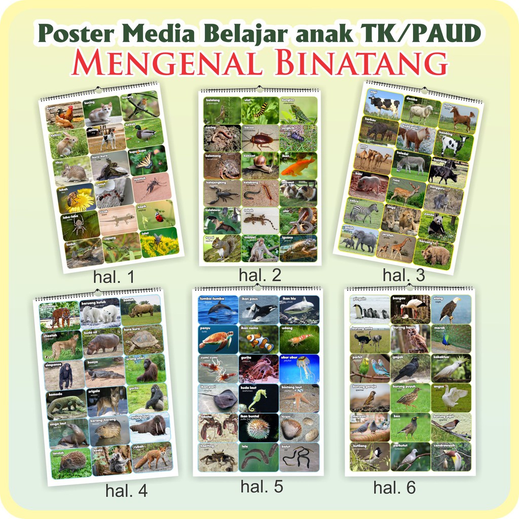 POSTER BELAJAR ANAK TK / PAUD/ MEDIA BELAJAR MENGENAL BINATANG / MAINAN EDUKASI / POSTER BINATANG