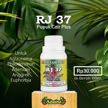 Pupuk Cair Plus RJ 37 - Aglaonema, Philodendron, Anggrek, Adenium dll