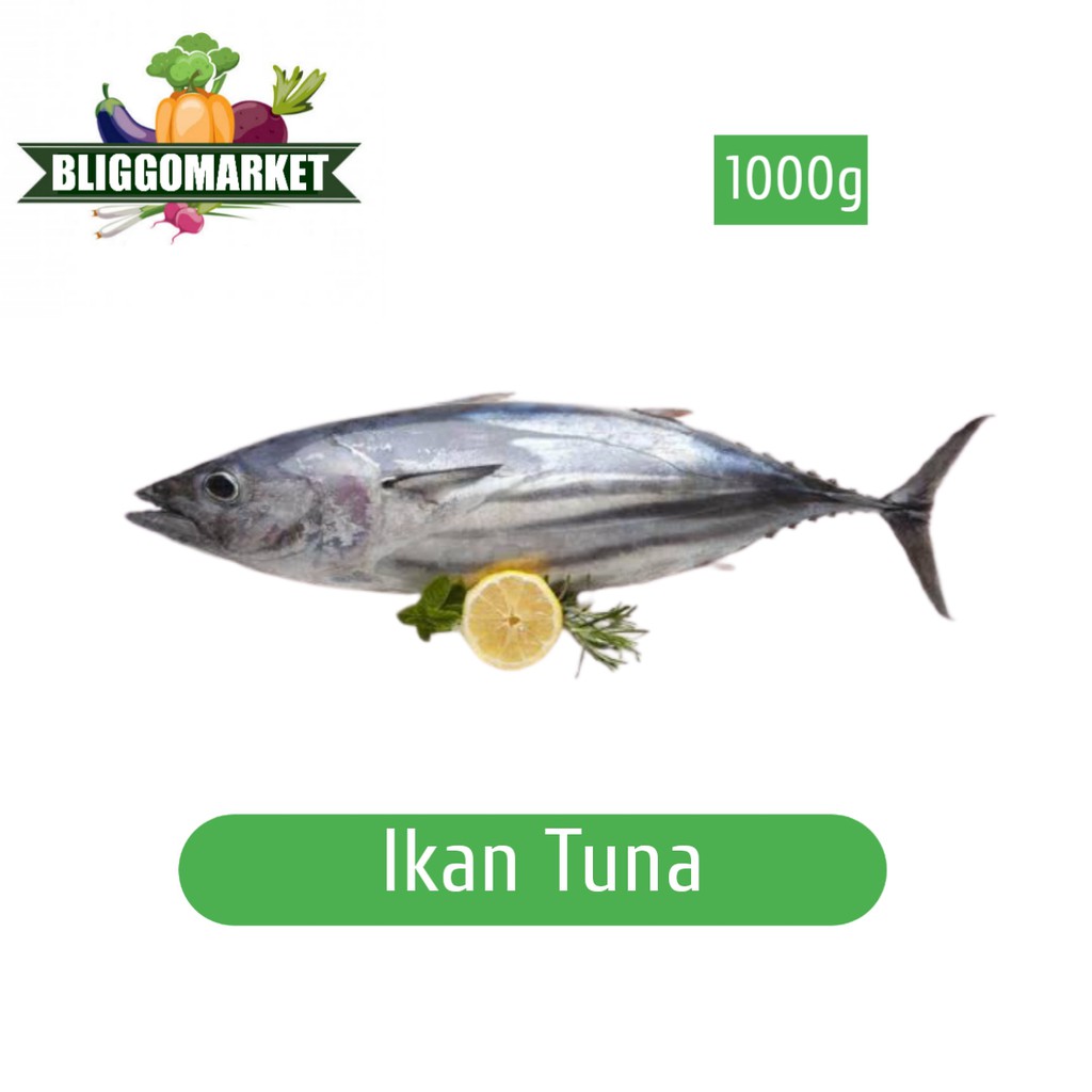 

Ikan Tuna -/+ 1000gr 3/2Ekor