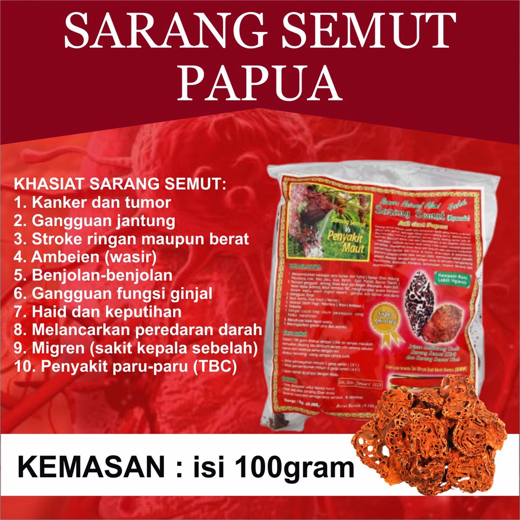 Sarang Semut Asli Papua Super Original Sari Herbal Kanker Tumor dan Struk UD.FIRA