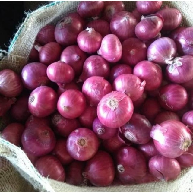 Bawang merah india 1kg (hny utk area jawa timur)